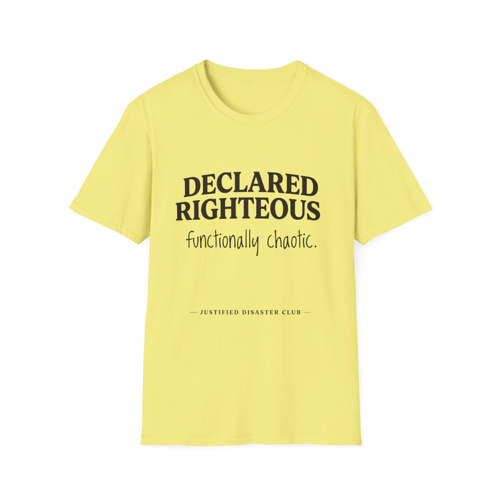 Declared Righteous Functionally Chaotic T-Shirt