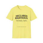 Declared Righteous Functionally Chaotic T-Shirt