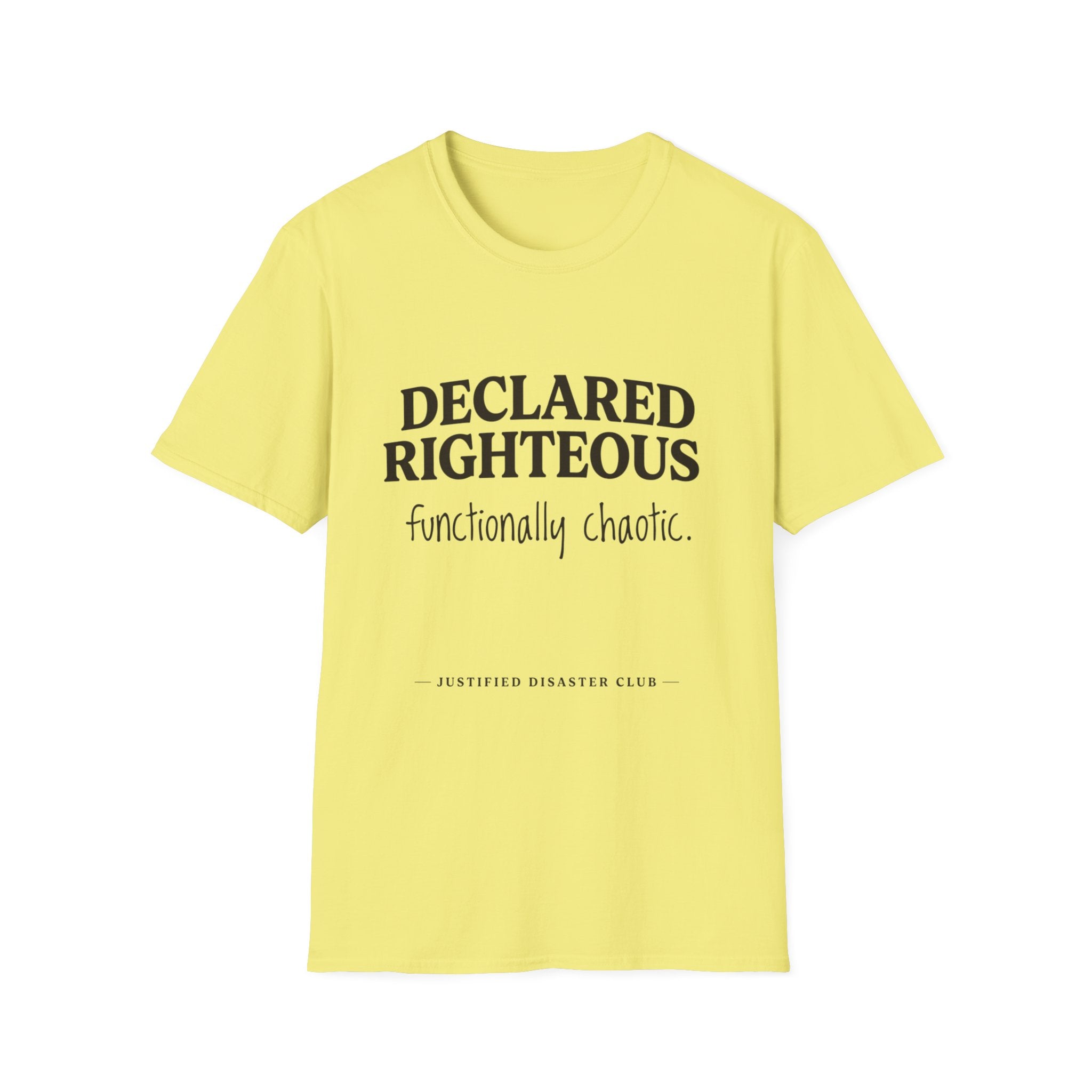 Declared Righteous Functionally Chaotic T-Shirt