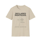 Declared Righteous Structural Hazard T-Shirt