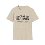 Declared Righteous Functionally Chaotic T-Shirt