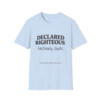 Declared Righteous Functionally Chaotic T-Shirt