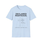 Declared Righteous Structural Hazard T-Shirt