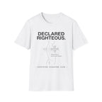 Declared Righteous Structural Hazard T-Shirt