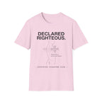 Declared Righteous Structural Hazard T-Shirt